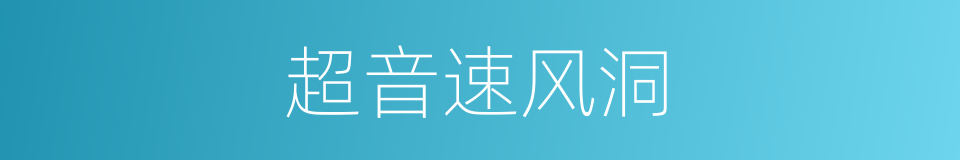 超音速风洞的同义词