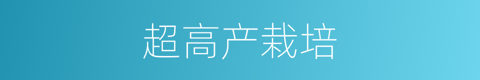 超高产栽培的同义词