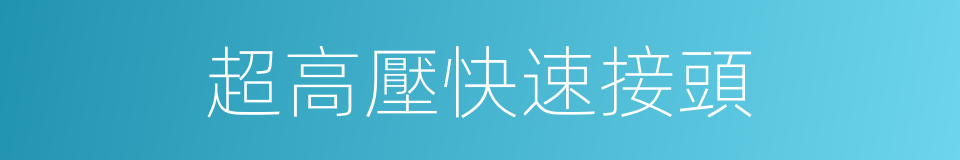 超高壓快速接頭的同義詞