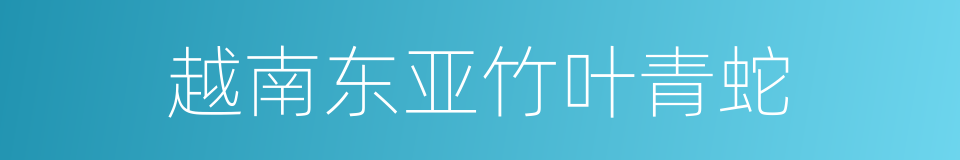 越南东亚竹叶青蛇的同义词