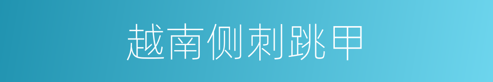 越南侧刺跳甲的同义词