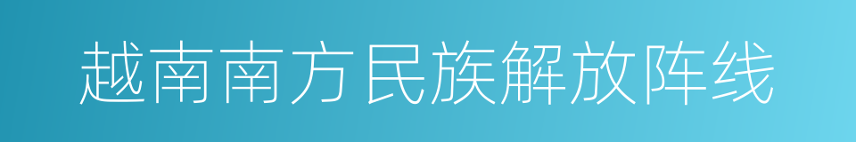 越南南方民族解放阵线的同义词
