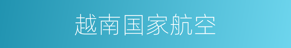 越南国家航空的同义词