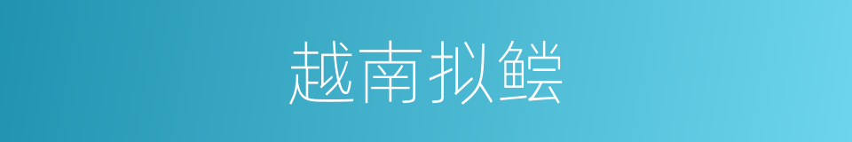 越南拟鲿的同义词