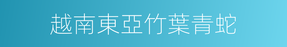 越南東亞竹葉青蛇的同義詞