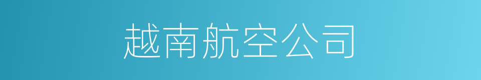 越南航空公司的同义词