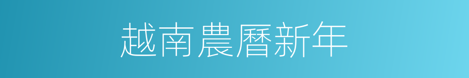 越南農曆新年的同義詞