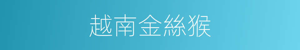 越南金絲猴的同義詞