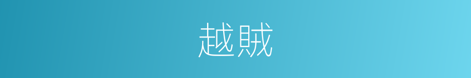 越賊的同義詞