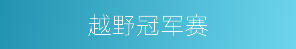 越野冠军赛的同义词