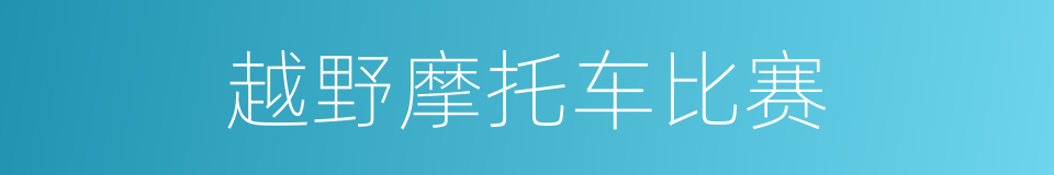越野摩托车比赛的同义词