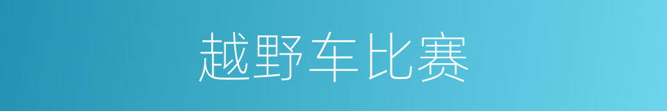 越野车比赛的同义词