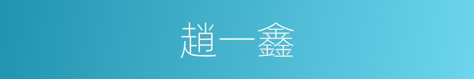 趙一鑫的同義詞
