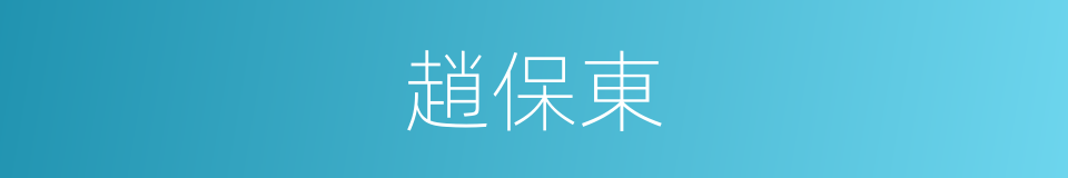 趙保東的同義詞