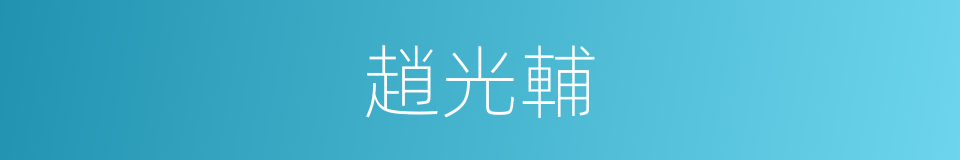 趙光輔的同義詞