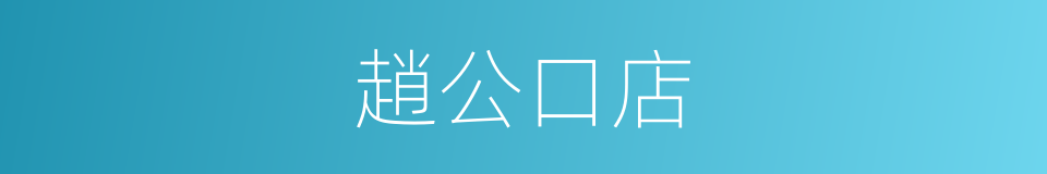 趙公口店的同義詞