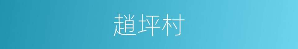 趙坪村的同義詞