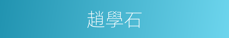 趙學石的同義詞