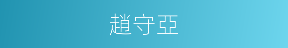 趙守亞的同義詞
