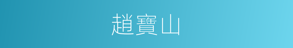 趙寶山的同義詞