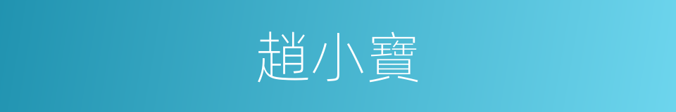 趙小寶的同義詞