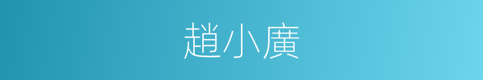 趙小廣的同義詞