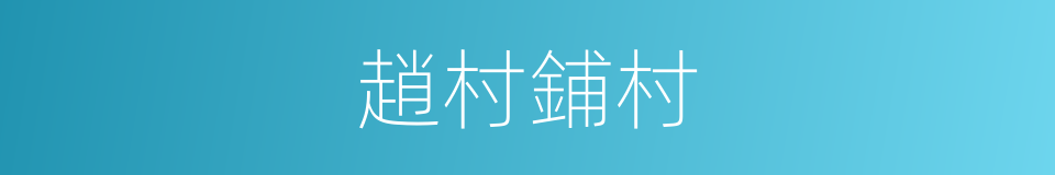 趙村鋪村的同義詞