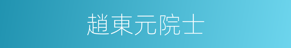 趙東元院士的同義詞