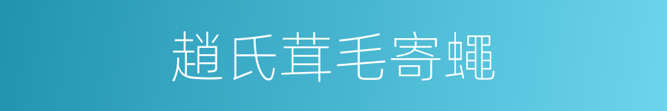趙氏茸毛寄蠅的同義詞