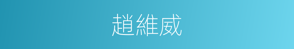 趙維威的同義詞