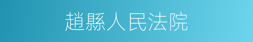 趙縣人民法院的同義詞