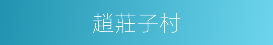 趙莊子村的同義詞