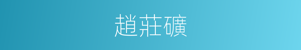 趙莊礦的同義詞