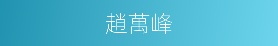 趙萬峰的同義詞