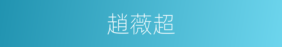 趙薇超的同義詞