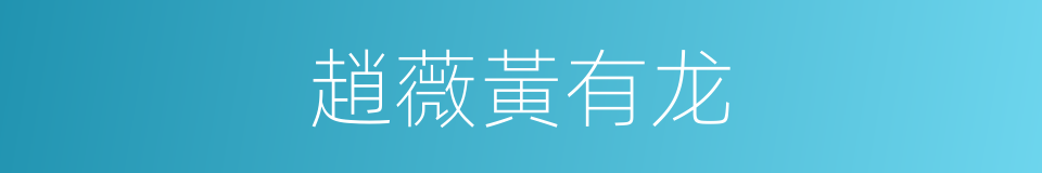 趙薇黃有龙的同義詞