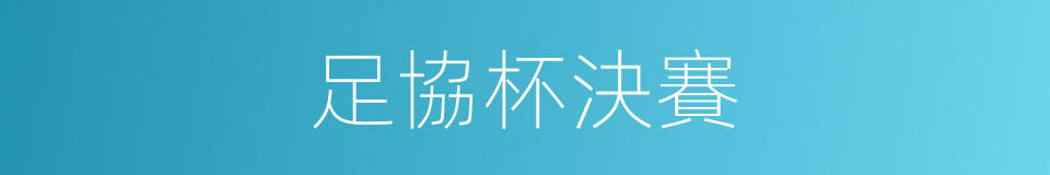 足協杯決賽的同義詞