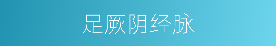 足厥阴经脉的同义词