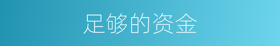 足够的资金的同义词