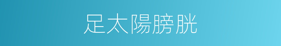 足太陽膀胱的同義詞