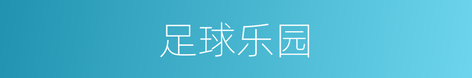 足球乐园的同义词