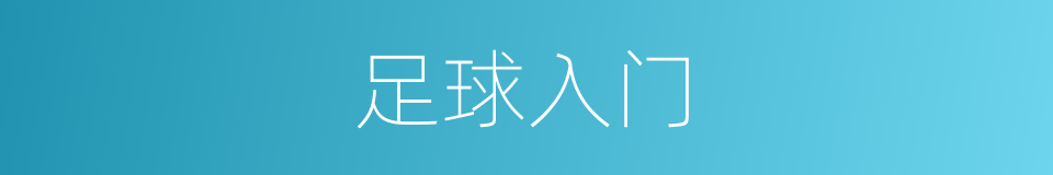足球入门的同义词