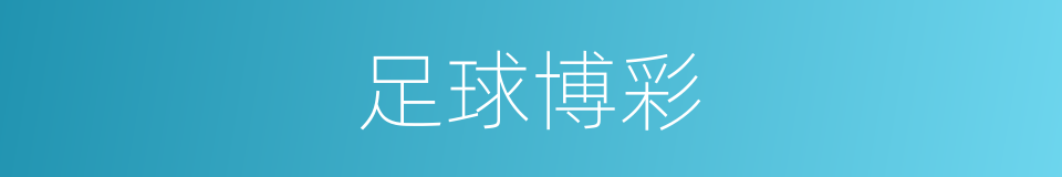 足球博彩的同义词