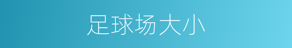 足球场大小的同义词