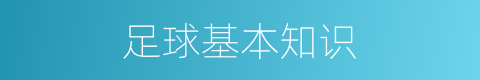 足球基本知识的同义词