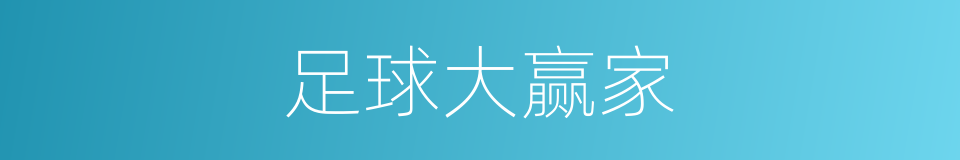 足球大赢家的同义词