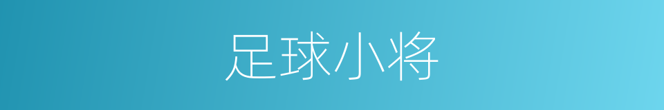 足球小将的同义词