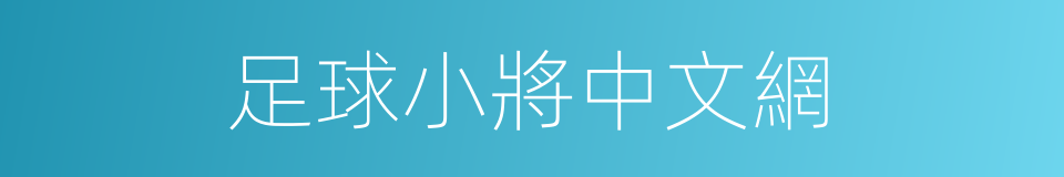 足球小將中文網的同義詞