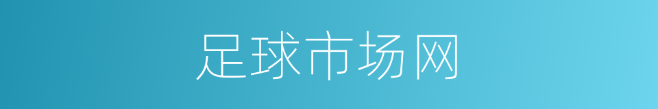 足球市场网的同义词