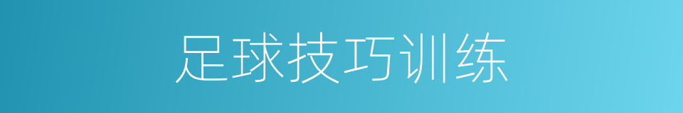 足球技巧训练的同义词